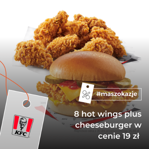 8 hot wings plus cheesburger w cenie 19 zł